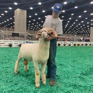 Meet your Posher, Colton